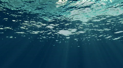 1080p loopable underwater Video stock 498188
