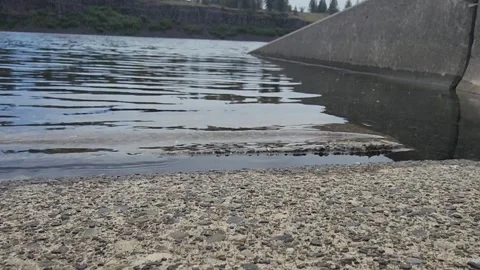 1080p Normal-Speed River with Birds and Fishing Reel Sound Stock Footage 310702124