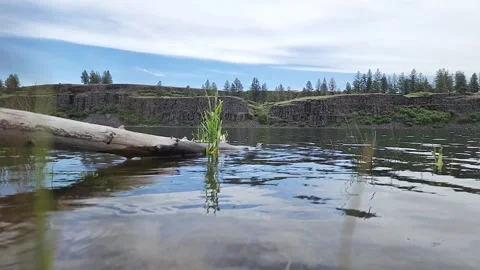 1080p Slow-Motion River Rapids with Rocky Cliffs Stock Footage 310702230