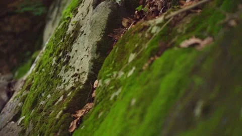 1080p slow-motion Small Waterfall in a Park Stock Footage 265294785