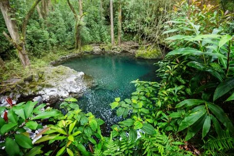 Fresh Pool in green tropical jungle on Hawaii island