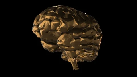 10a Stock Footage 89871040