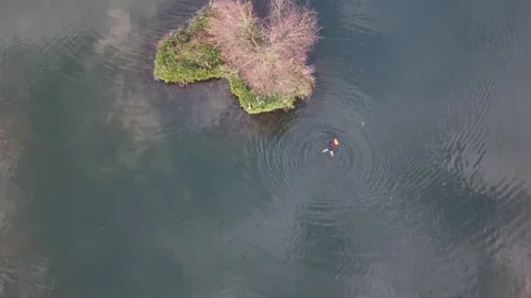 10am Sun 14/01/24 Single Open water swimmer 6 degrees water temp for a cold swim Stock Footage 262744551