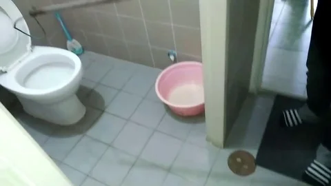10ft long python caught in toilet after biting Thai mans penis Stock Footage 105830662