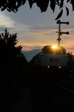 11 August 2024, View of a train passing through the countryside with natura.. Stock Photos