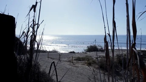 11 Beach Path with Surfers in the Background Stock Footage 99596618