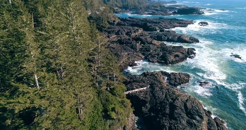 11 Stock Footage 91372771