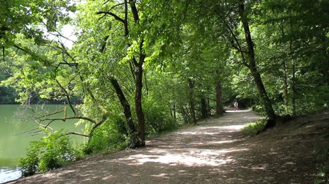 11 Idyllic forest path by a lake, man on bicycle and a jogger Stock Footage 39073224