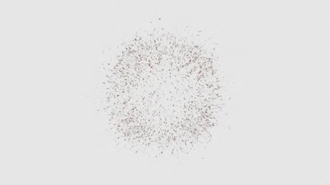 11 pieces of orange color. The explosive Shine with shimmer. Elegant confetti bu Stock Footage 149215744