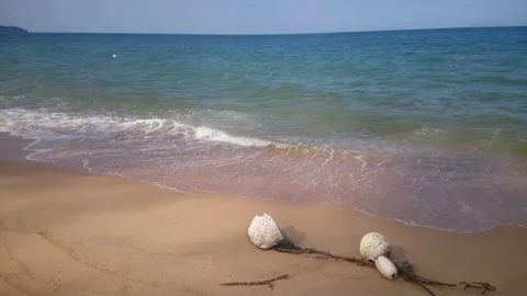 11 sandy beach with wave and breeze sound Stock Footage 145649752
