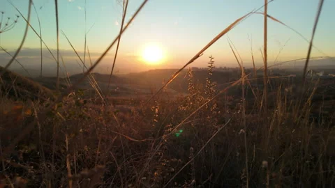 11 Slomo walking through dense dry withered autumn grass on hills at sunset 스톡 동영상 289405998