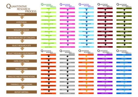 11 Step of Qualitative Research Process Stock Illustration
