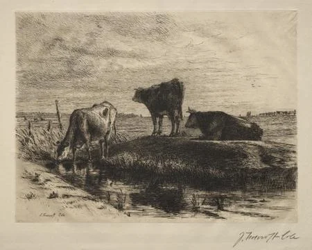 11: The Three Cows. Joseph Foxcroft Cole (American, 1837-1892). Etching; Ilustración de archivo