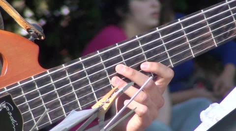 1103 Music at the park Stock Footage 33846520