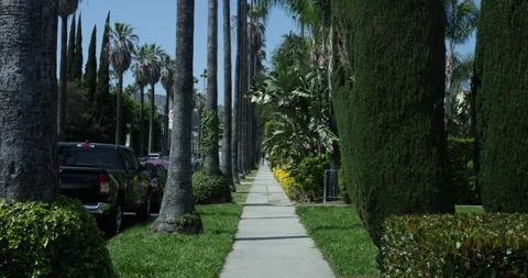 1103722551 Stock Footage 249359025