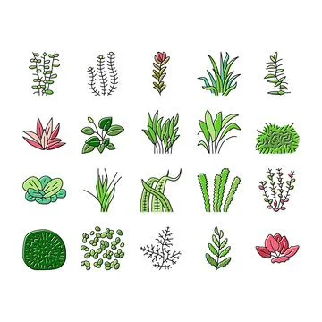 1108-57_01_1 Stock-Illustration