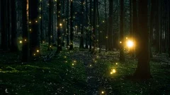 Magic fireflies in mossy fairytale forest