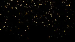 Gold Confetti Popper Explosion / 1920×1080 Full HD / Alpha Channel