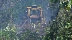 bulldozer plowing through rainforest in hawaii. the fire department was
