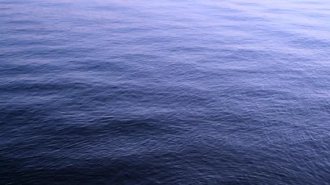 111 00203895 Stock Footage 335231081