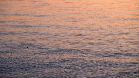 111 00204125 Stock Footage 335986319