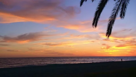111 00241165 Stock Footage 335231080