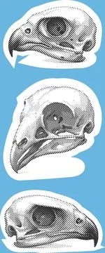 11111 Stock Illustration