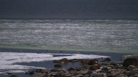 111111 Polar Bear sleeping on ice 07 Stock Footage 10884590