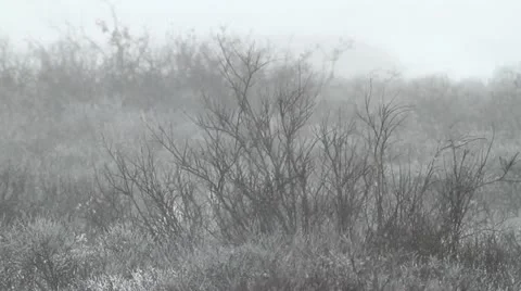 111116 ScenicWind 05 Stock Footage 12661675