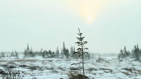 111119 ScenicWind 01 Stock Footage 12713248