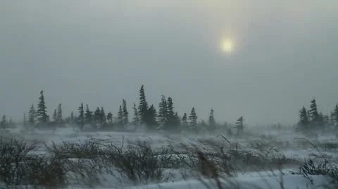 111119 ScenicWind 03 1 Stock Footage 12713341