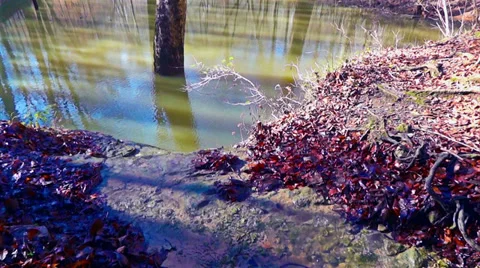 111201 River Styx Spring Flood 1 HD Stock Footage 33445384