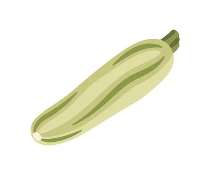 1112.ill.1.zucchini flat Stock Illustration