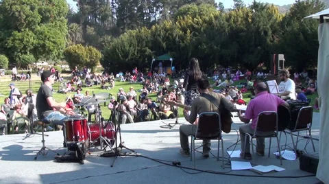 1114 Music at the park Video stock 33848790