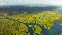 Aerial Top View of Amazon rainforest and river in Brazil
