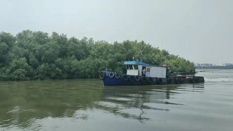 1120(1) Stock Footage 321481869