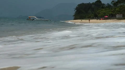 1121  1  1 Stock Footage 293027185