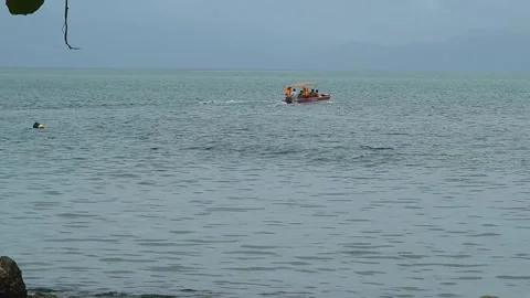 1121  1  4 Stock Footage 293027182