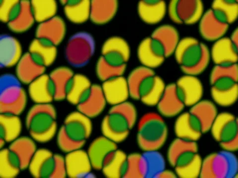 1136 Microdotz2002 Stock Footage 419803