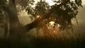 (1142) Fairy Lights Fireflies Summer Meadow Magical Fantasy Woods LOOP HD Footage