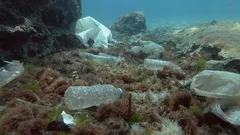 Plastic pollution, Tropical fishes swims over sea bottom covered plastic garbage