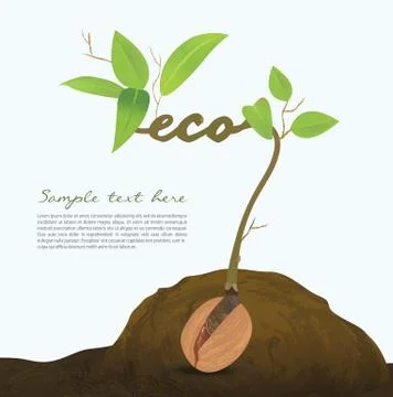 115 seed03 Stock Illustration