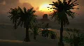(1150) Egyptian Sphinx Desert Sand Palm Oasis Sunset Clouds LOOP HD Footage