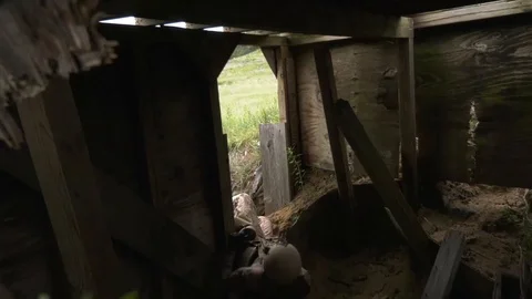115th Civil Engineer Squadron rescue injured soldier during EOD Training - 2018 Stock Footage 105795074