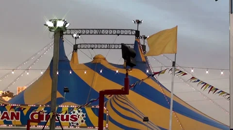 1168  Circus Stock Footage 34349913