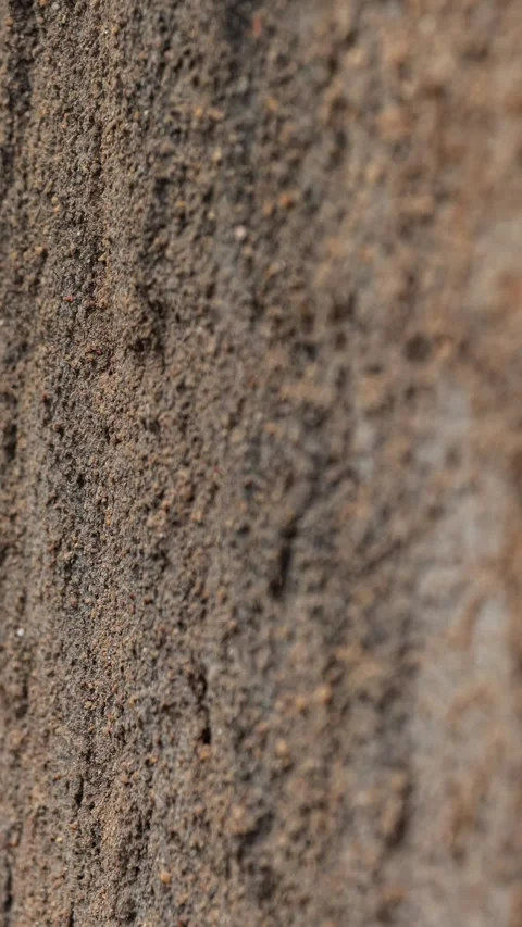 116_Rough textured wall surface close up.mp4 Stock Footage 347072453