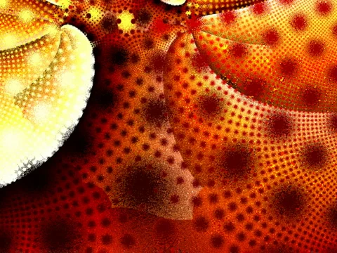 117-00 Stock Footage 5930695