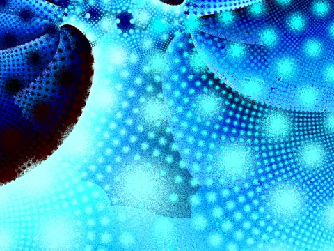 117-02 Stock Footage 5935153