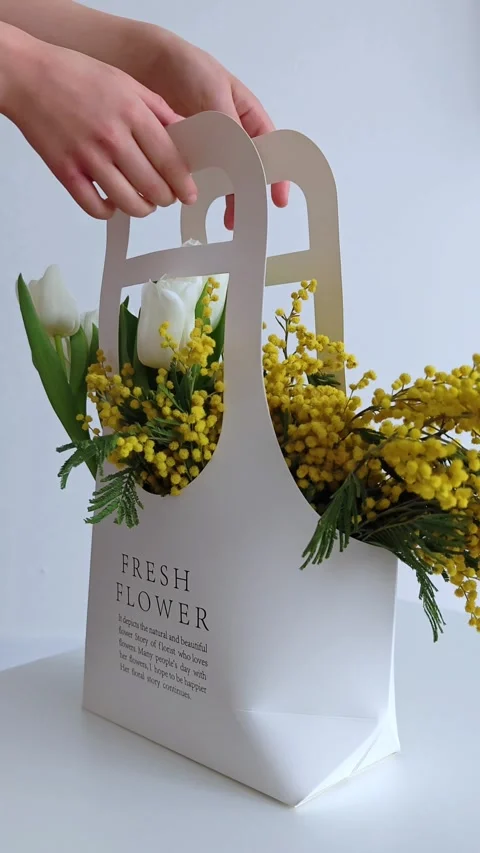 119 fl 스톡 동영상 333551113