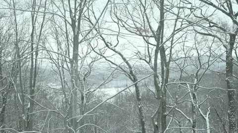 11925705b HD Stock Footage 758866